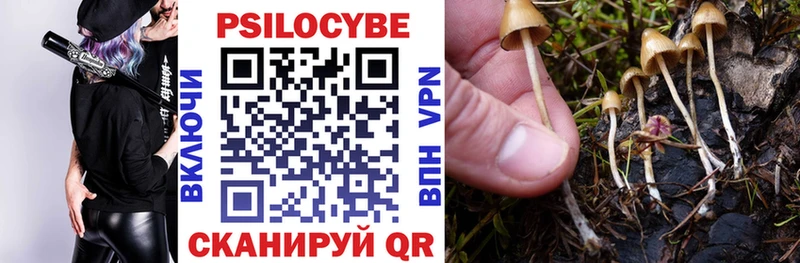 Галлюциногенные грибы Cubensis  Купить закладки  Коломна 