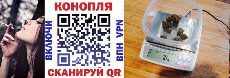Конопля сатива  Купить  Коломна 